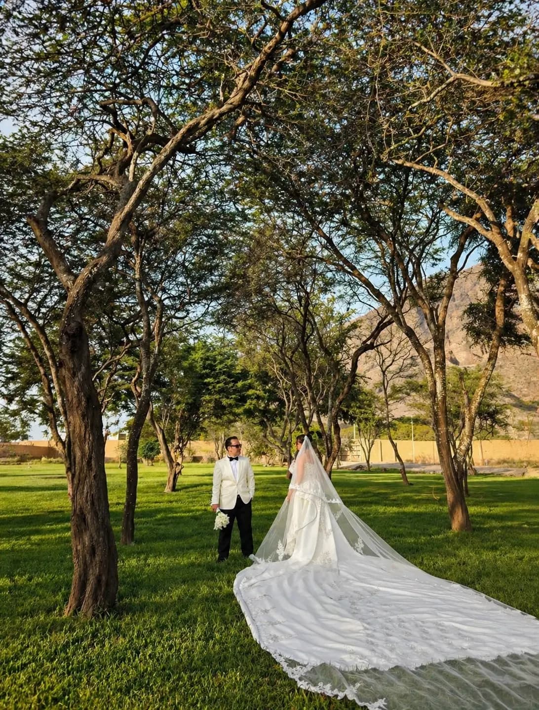 Bodas